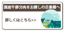 YT̊Ɨl